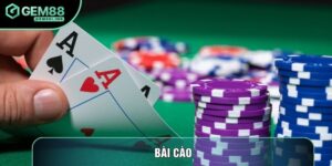 Bài Cào: Hướng Dẫn Cách Chơi Cơ Bản Cho Tân Thủ