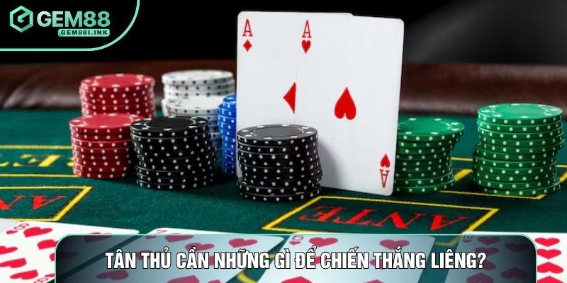 Tân thủ cần những gì để chiến thắng liêng?