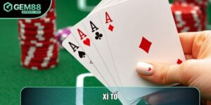 Xì Tố: Làm Sao Để Trở Thành Chuyên Gia Hàng Đầu?